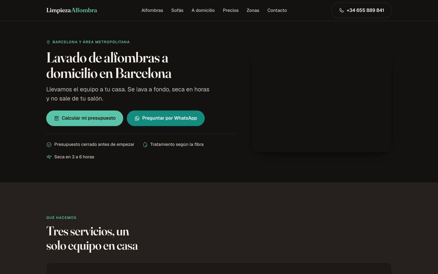Captura de la web de Limpieza Alfombra